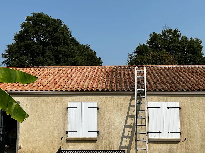 Entretien de toiture